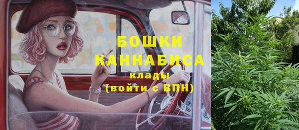 не бодяженный Ладушкин