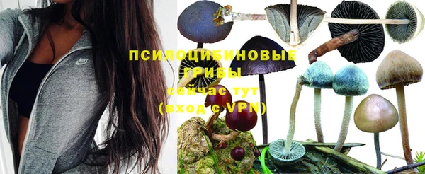 не бодяженный Лабытнанги