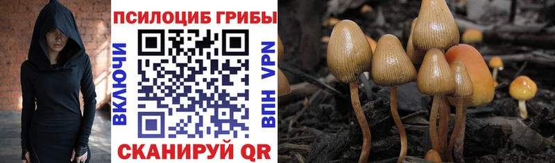 как найти закладки  Оленегорск  Псилоцибиновые грибы мухоморы 
